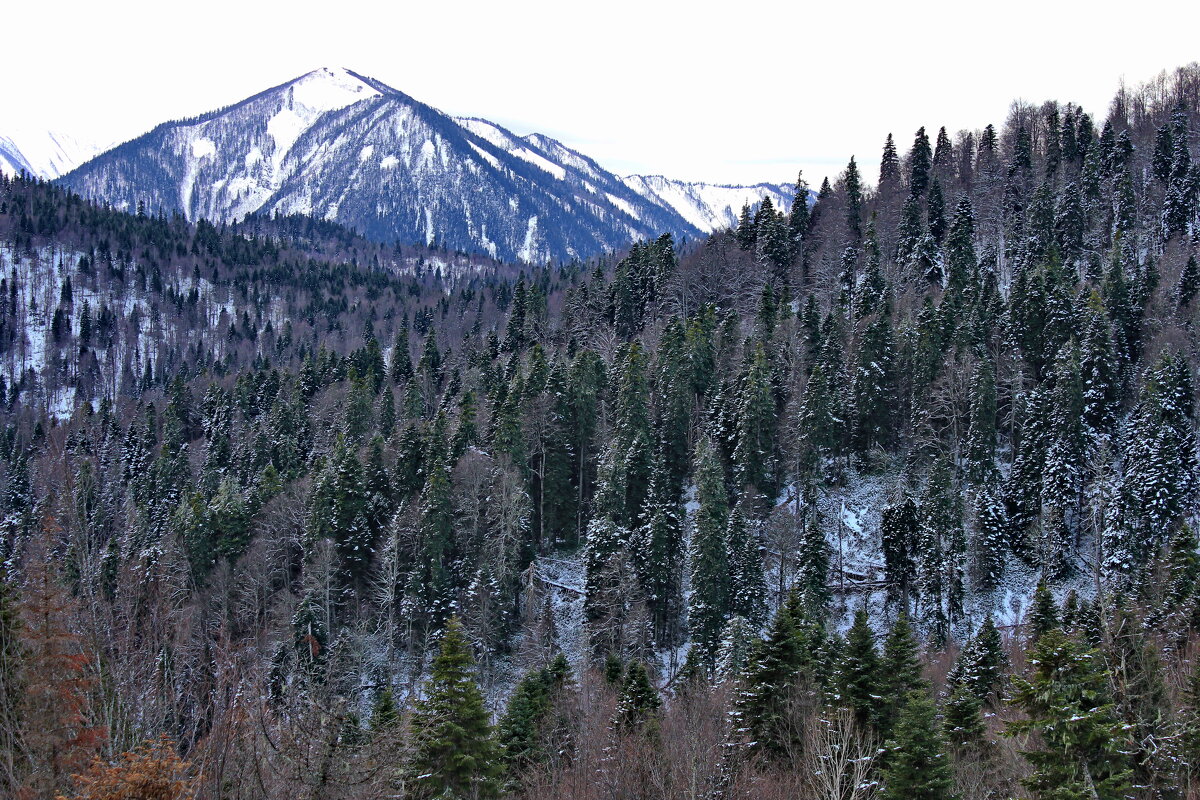 горная Адыгея - 34 - Анатолий Стрельченко горная Адыгея - 34 - Анатолий Стрельченко