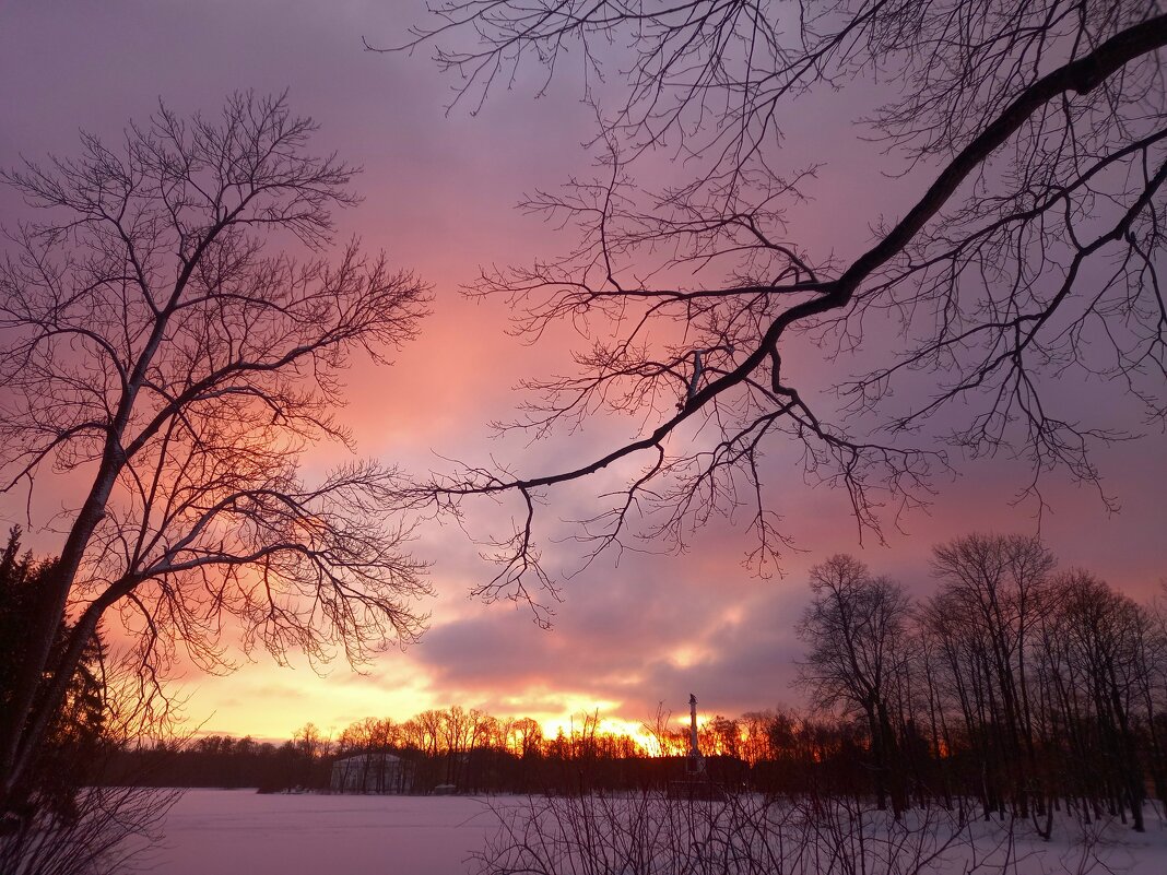 Рассвет - Сапсан 