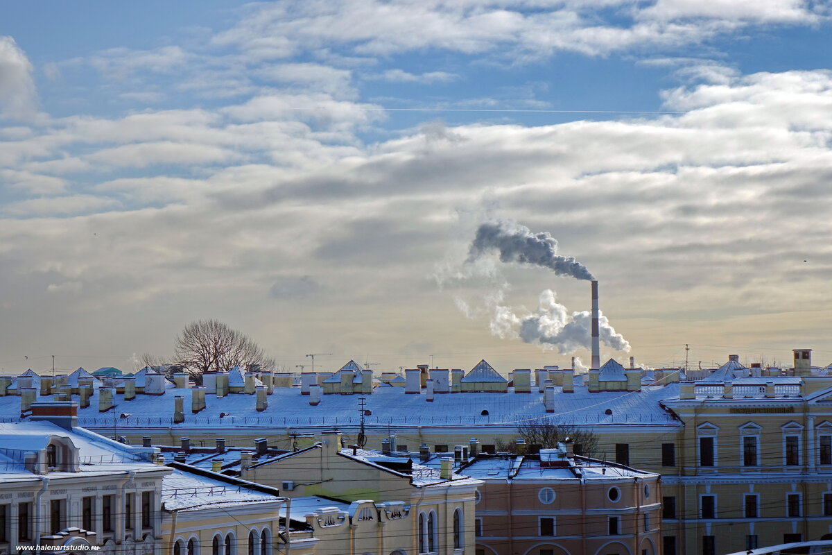 Крыши Питера - Игорь Корф