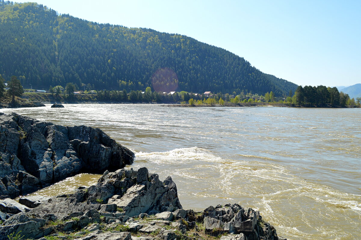 Катуньская весна - Татьяна Лютаева Катуньская весна - Татьяна Лютаева