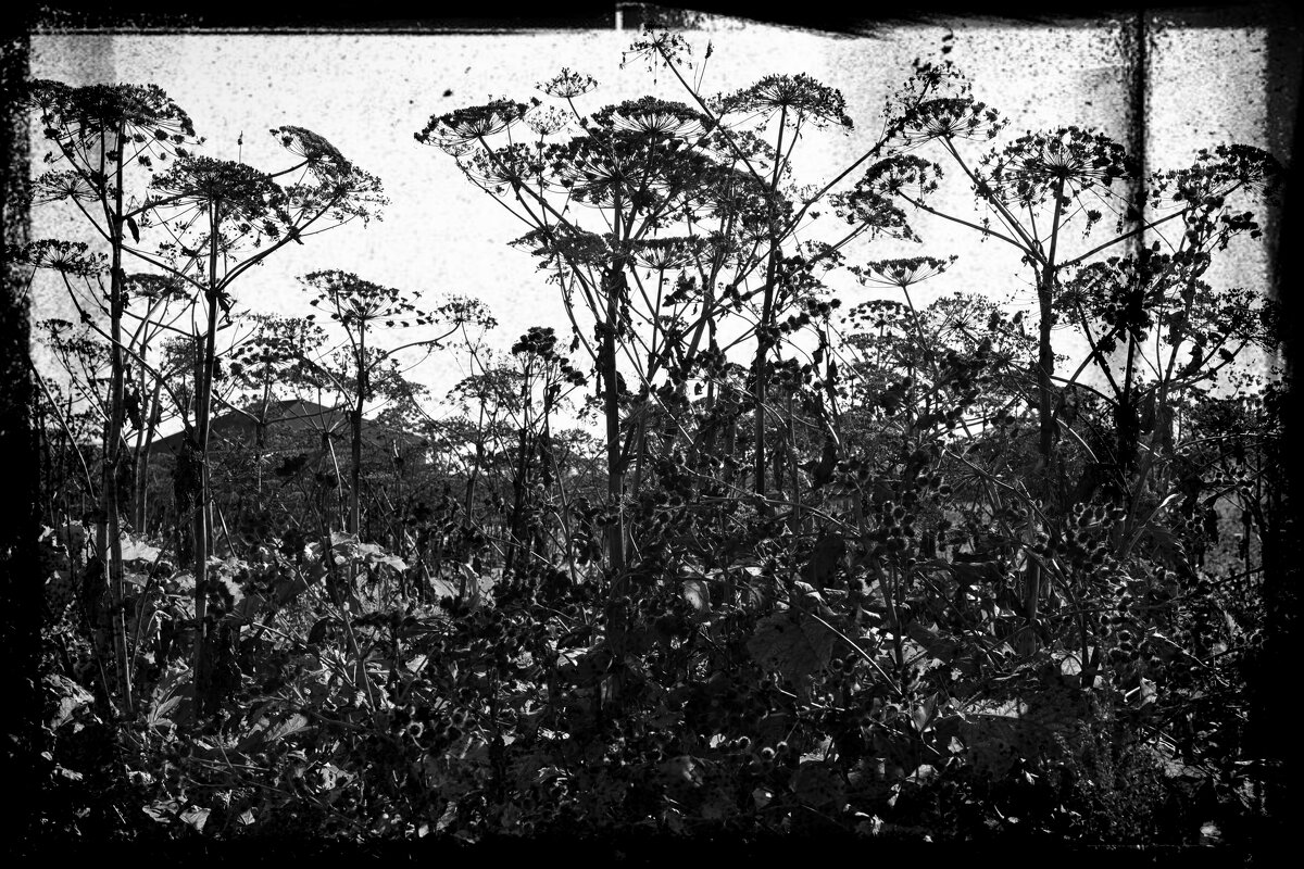 Название отсутствует - Денис Безногов Название отсутствует - Денис Безногов