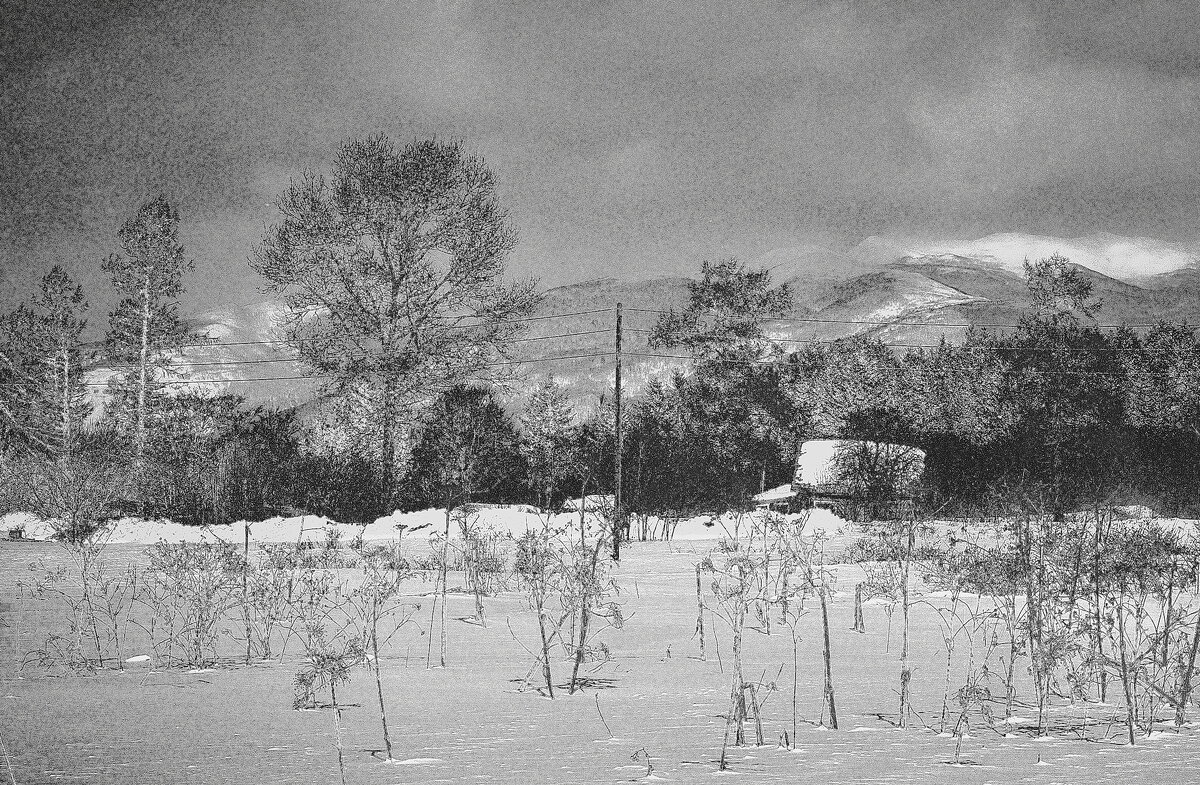 *** - fillarret-2 