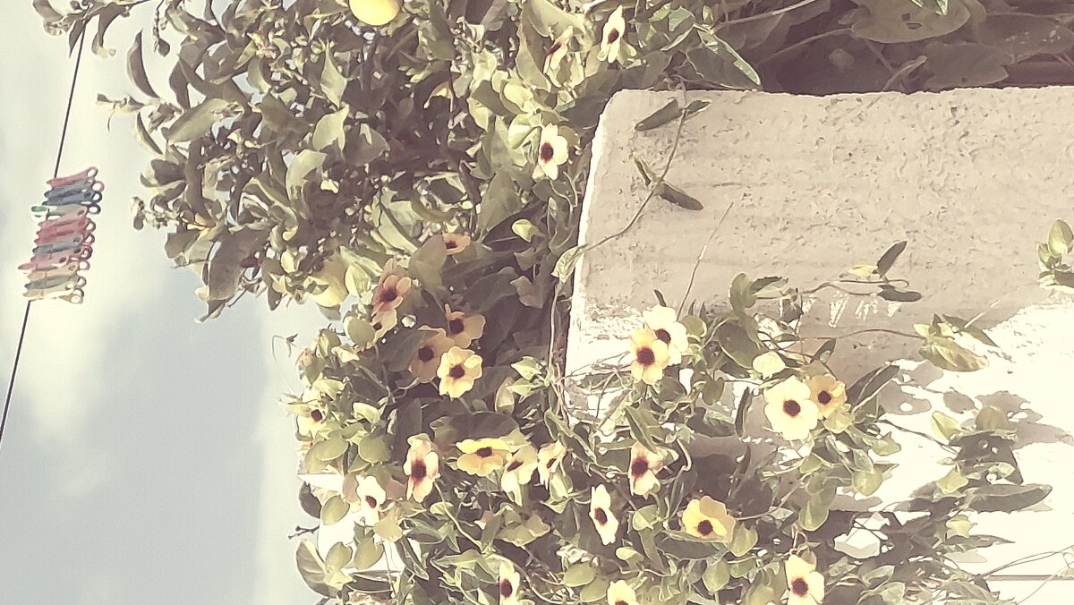 12  КЛОС (666) - CLOSE WAYS ALL