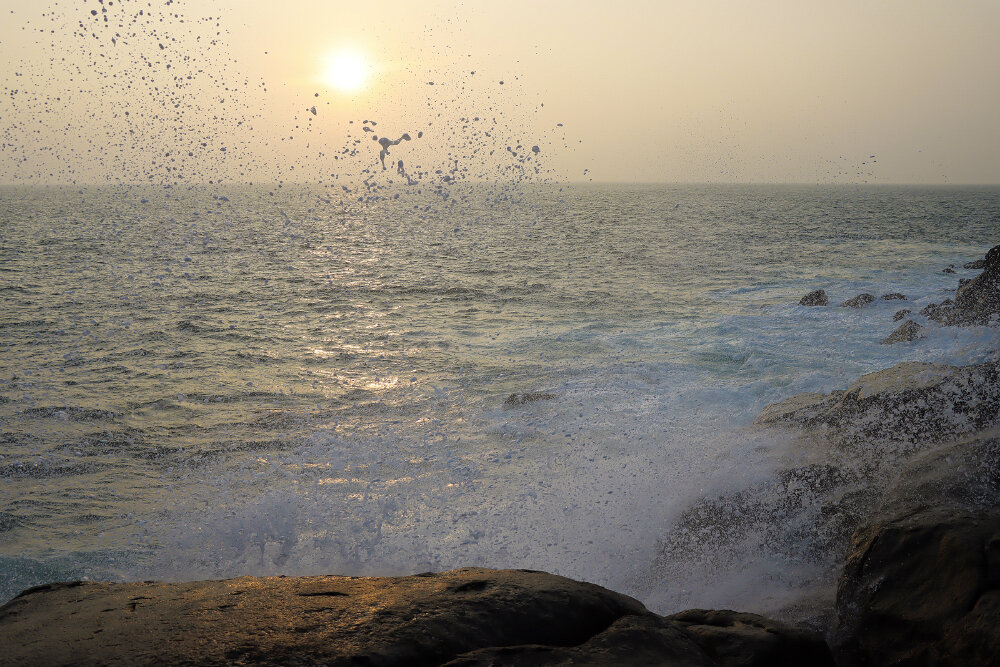 Живой океан... - Галина Ильясова Живой океан... - Галина Ильясова
