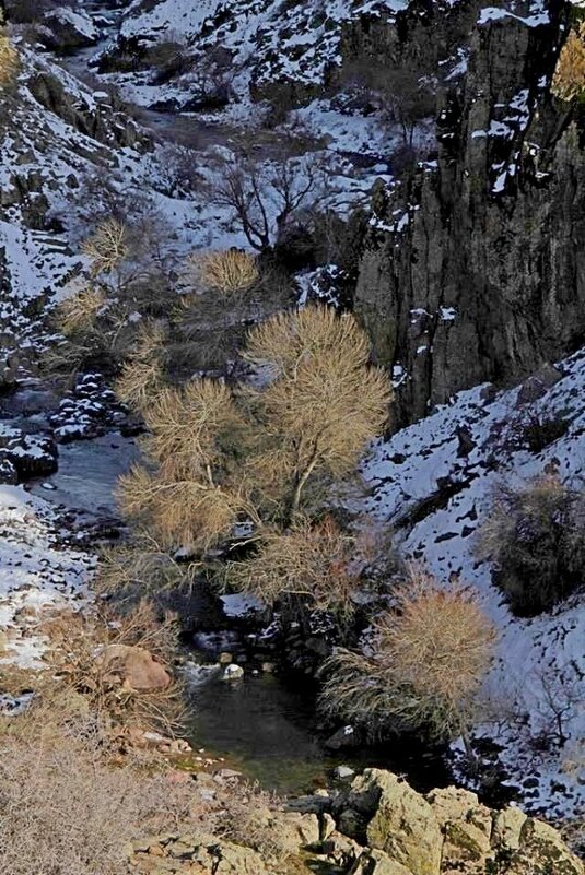 ГОРНАЯ ПРОГУЛКА. - Виктор Осипчук