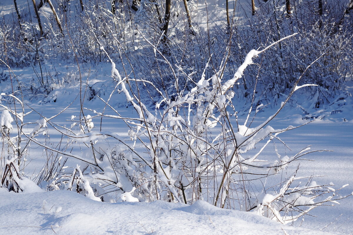 Февральский этюд - Рита Симонова