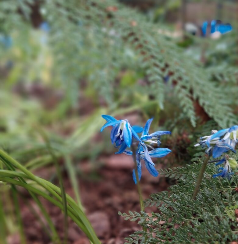приметы весны - ИРЭН@ . приметы весны - ИРЭН@ .