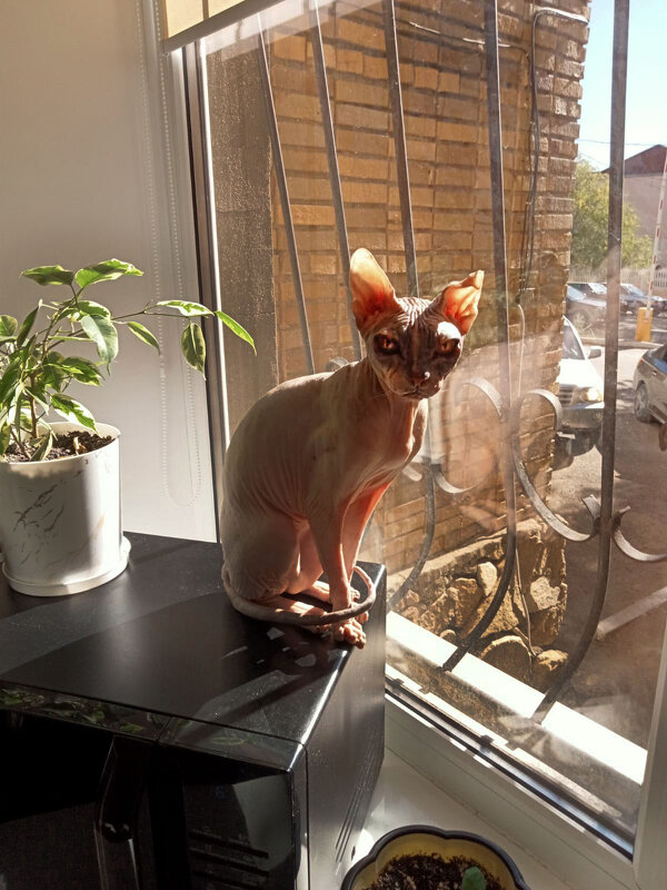 Мотя. - Штрек Надежда Мотя. - Штрек Надежда