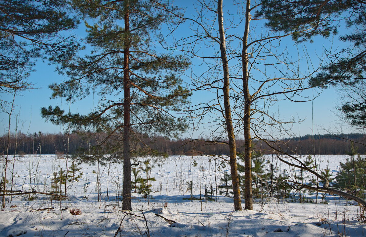 Зимний день - lady v.ekaterina