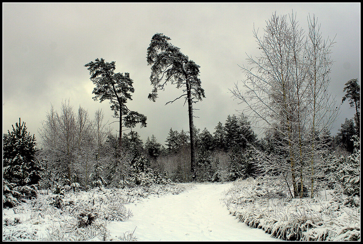 Зимний этюд - Aleksandr Gal Зимний этюд - Aleksandr Gal
