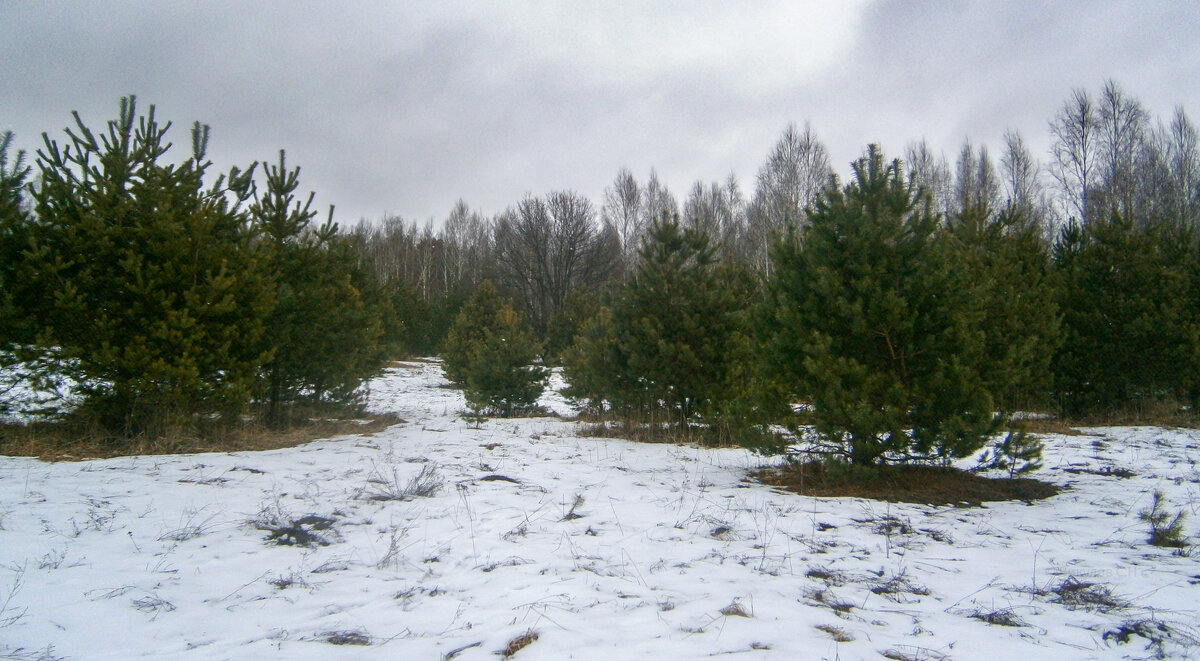 Тихо - Sergei Vikulov Тихо - Sergei Vikulov