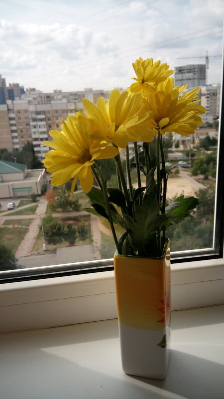 ,,, - Сергей Тимоновский ,,, - Сергей Тимоновский