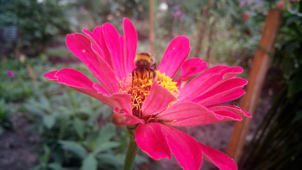 ,,, - Сергей Тимоновский ,,, - Сергей Тимоновский