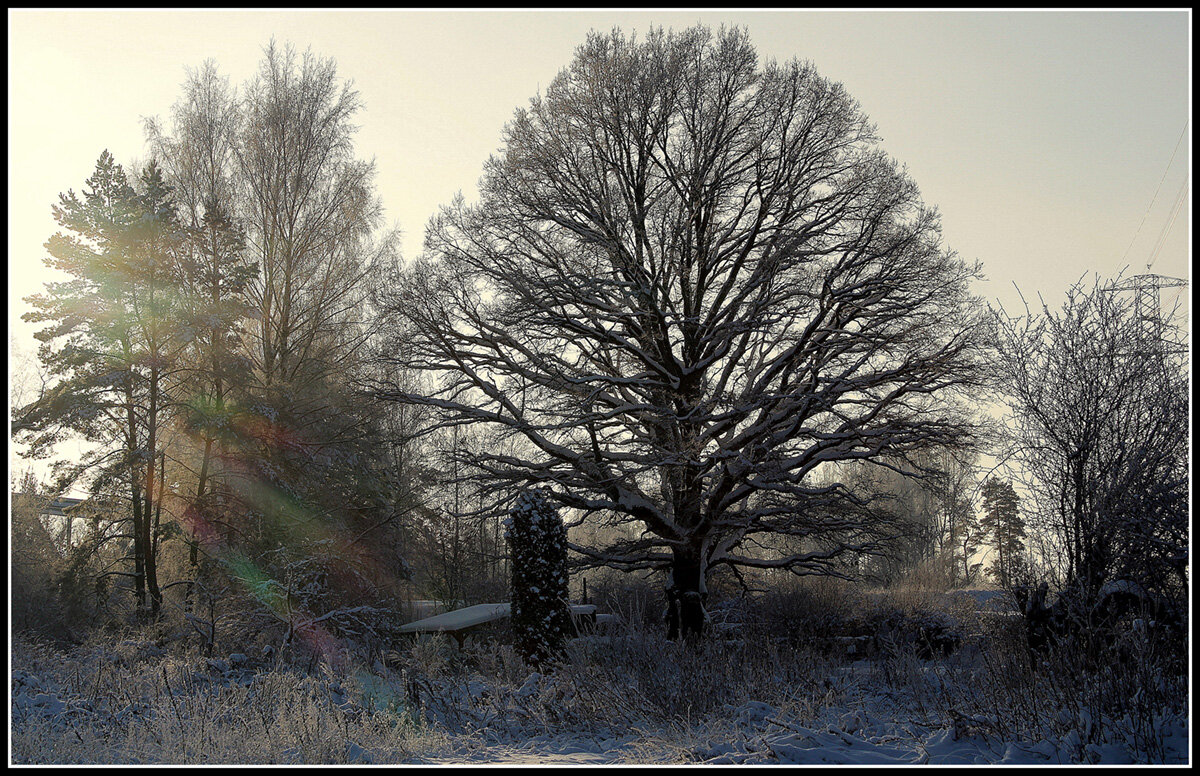 Светит ,но не греет - Aleksandr Gal