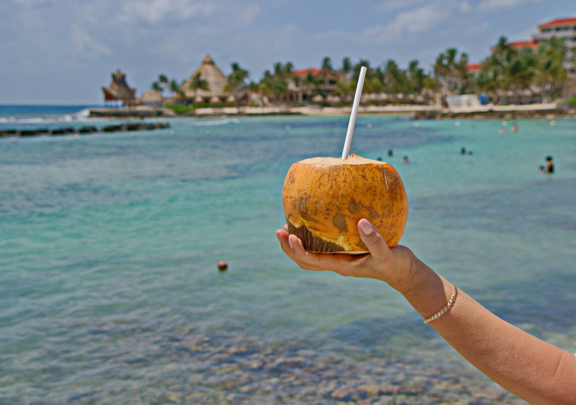 Пейте кокосовое молоко - Андрей K. Пейте кокосовое молоко - Андрей K.