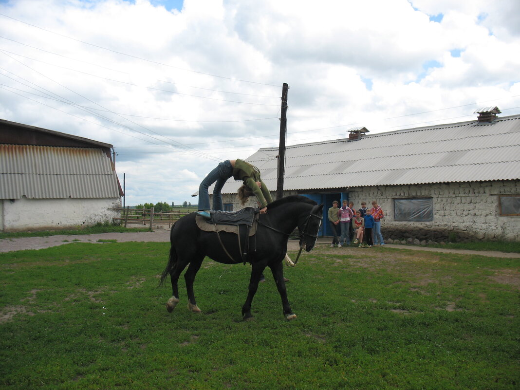 Упражнения на лошади - Андрей Л. В. Упражнения на лошади - Андрей Л. В.