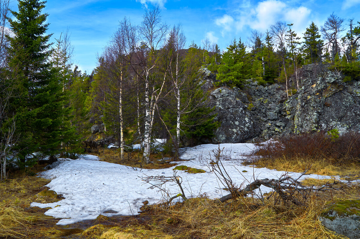 Уголок весны. - Юрий кот Уголок весны. - Юрий кот