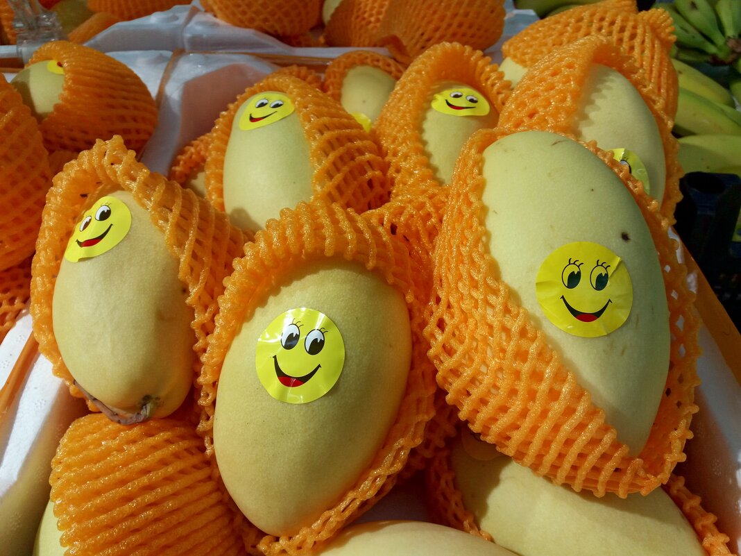 Весёленькие манго - Galina Solovova