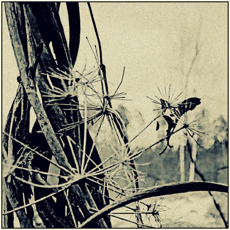 *** - Любовь *** - Любовь