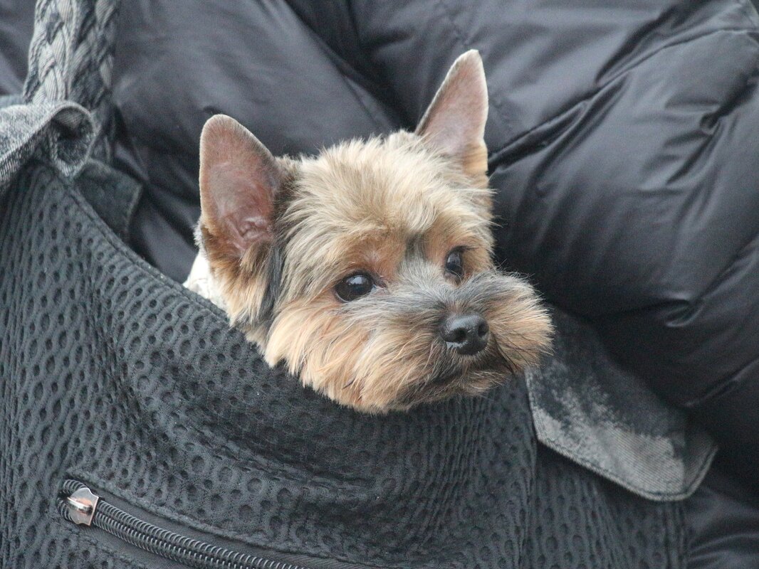 Кому веселье, а кому - не очень... - Наталья Герасимова