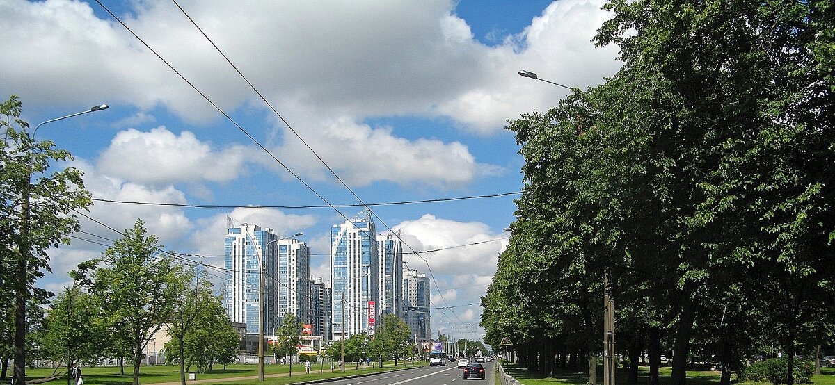 дорога - марта Камушкина