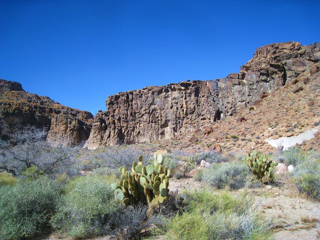 Колючий пейзаж. - unix (Илья Утропов)