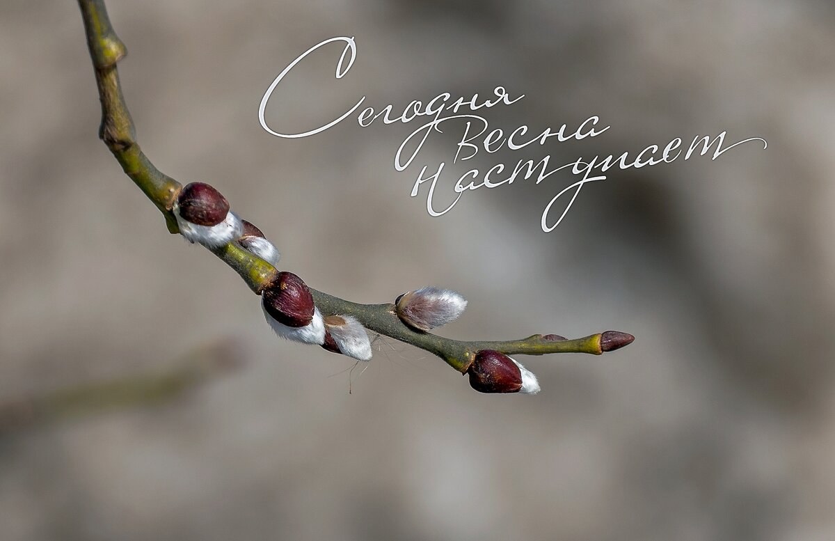 Весна наступает - Валерий Иванович Весна наступает - Валерий Иванович