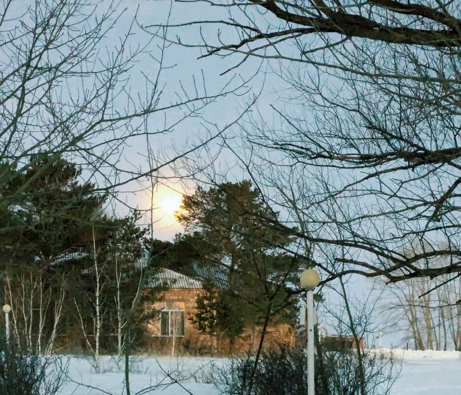 Зимняя Луна - Андрей Хлопонин Зимняя Луна - Андрей Хлопонин