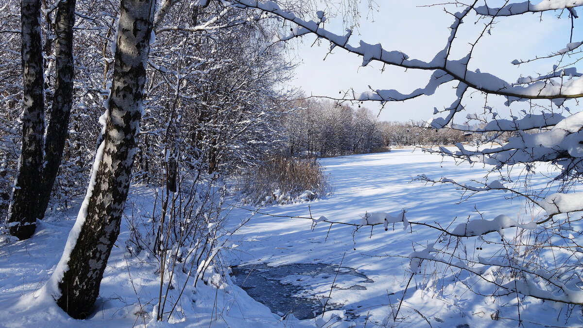 В окрестностях Калининграда - Рита Симонова В окрестностях Калининграда - Рита Симонова