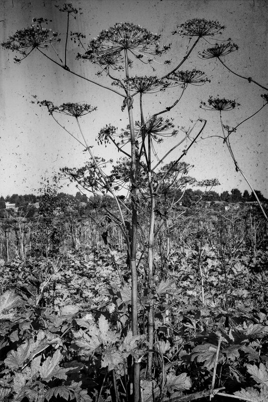 Название отсутствует - Денис Безногов