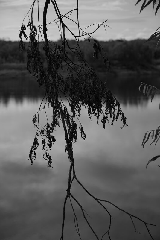 Название отсутствует - Денис Безногов Название отсутствует - Денис Безногов