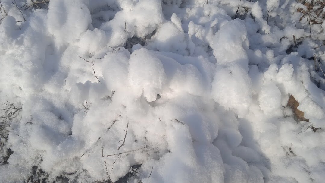 февраль - Елена Шаламова