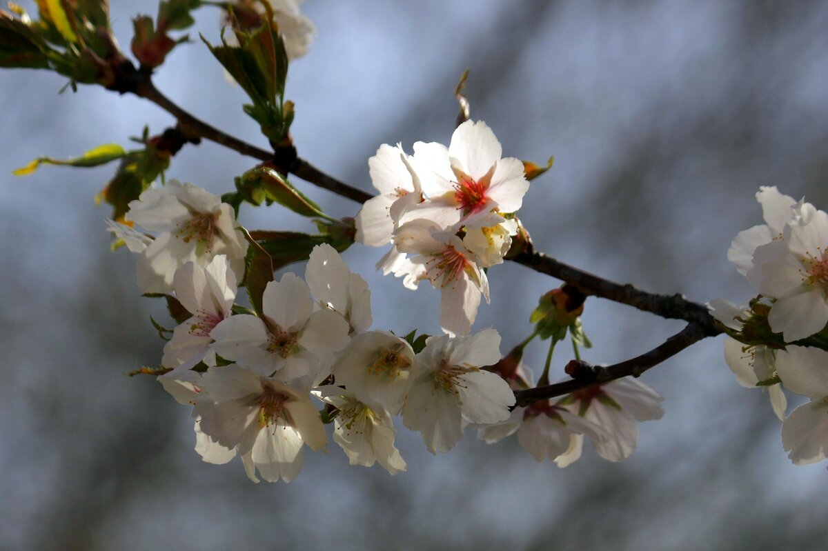 Доброе утро - Юрий. Шмаков Доброе утро - Юрий. Шмаков