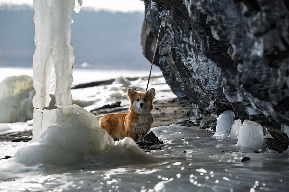 *** - Alexandr Khizhniak