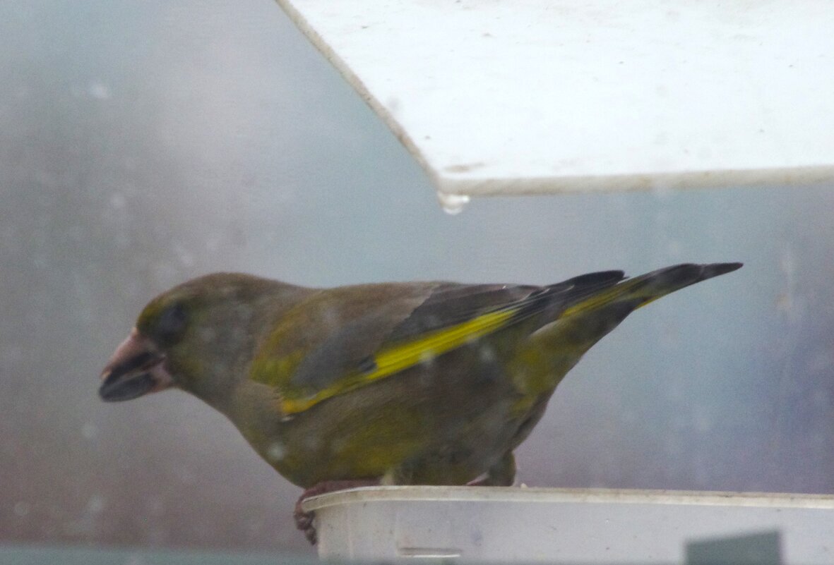 Непогода... - Юрий Куликов Непогода... - Юрий Куликов