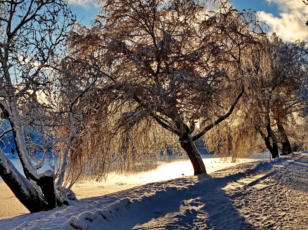 Зимнее солнце - Александр Чеботарь Зимнее солнце - Александр Чеботарь