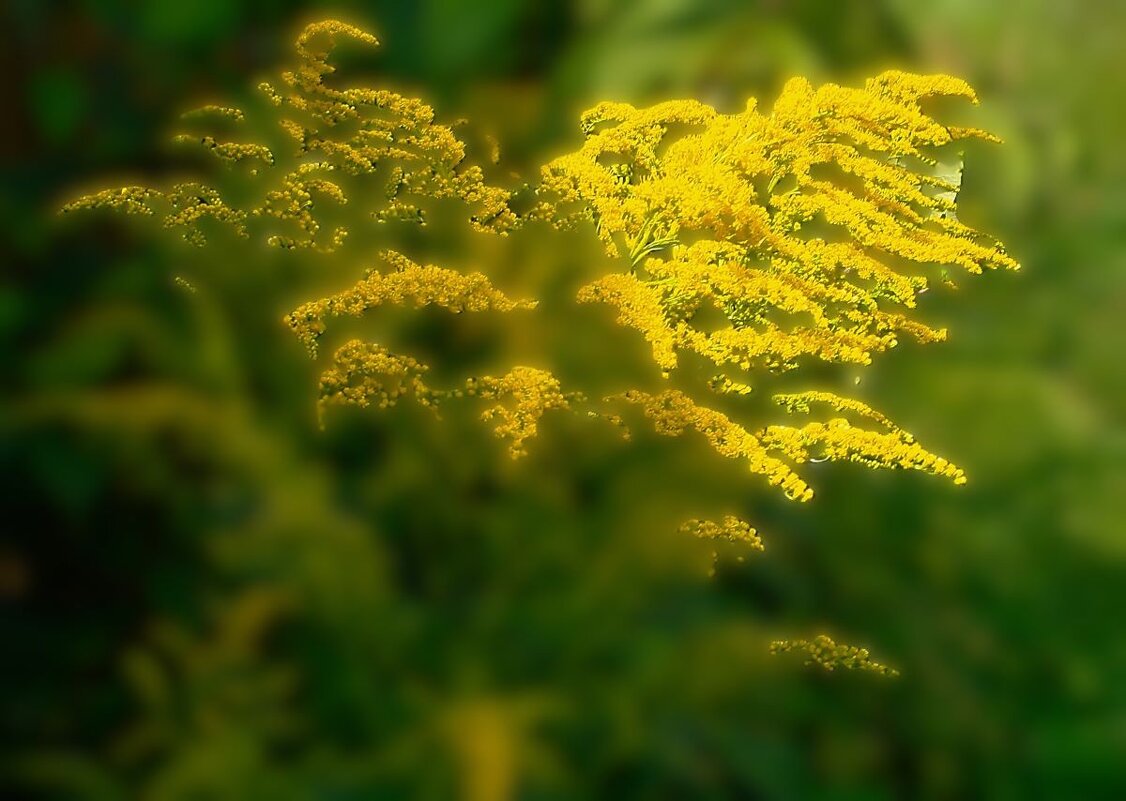 О минимализме... - Olga Oskolkova О минимализме... - Olga Oskolkova