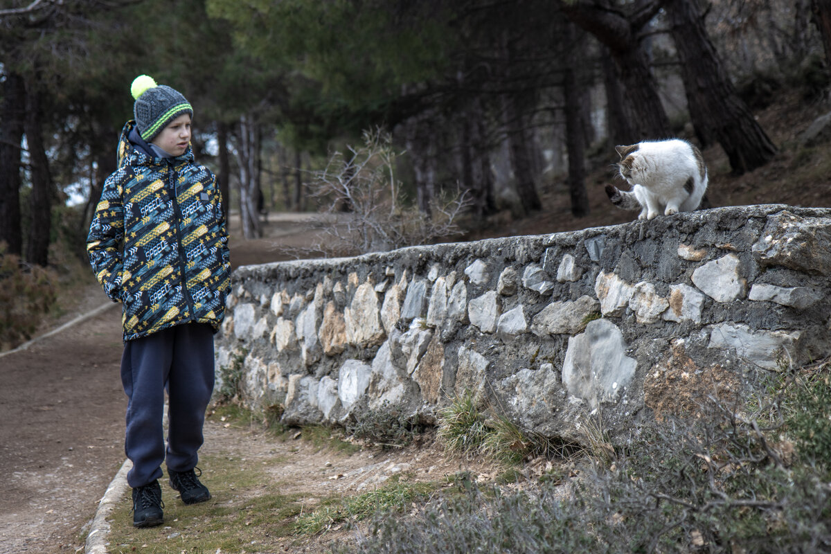 Здравствуй, котик!....Здравствуй, человек! - Дмитрий А