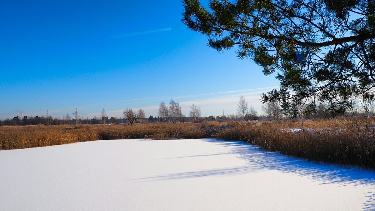 Зимний пейзаж (репортаж из поездок по области). - Милешкин Владимир Алексеевич 