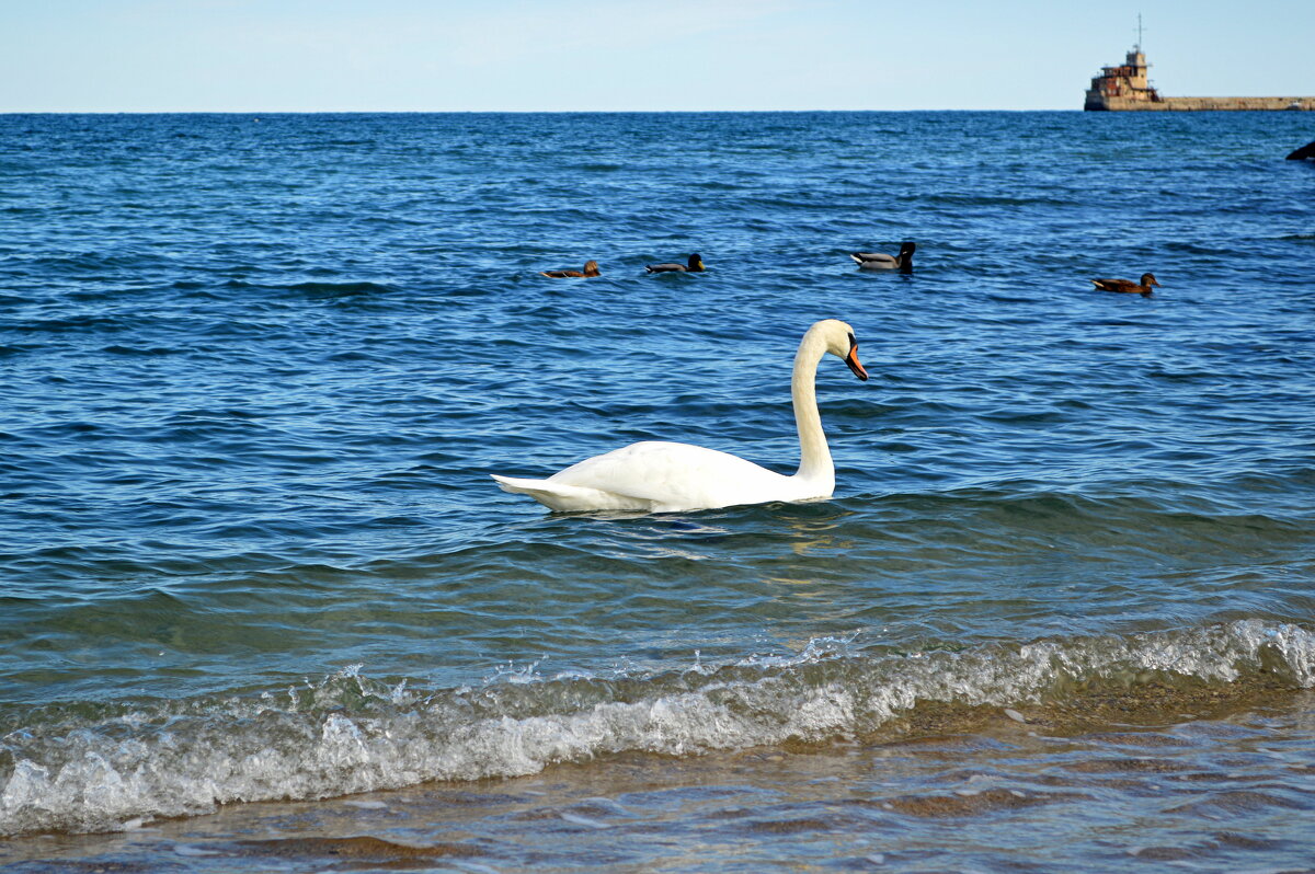 Одинокий - Татьяна Лютаева Одинокий - Татьяна Лютаева