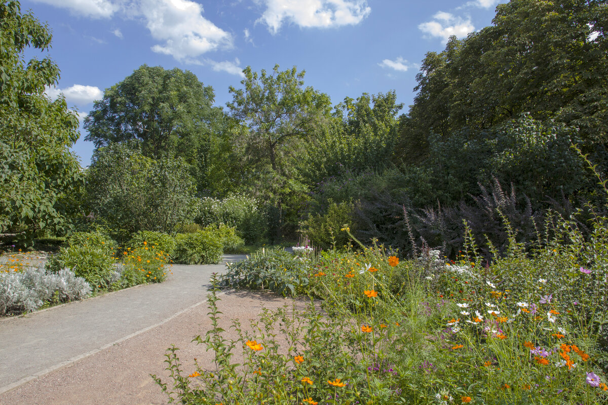 Пейзажи ботанического сада Н В Багрова - Валентин Семчишин Пейзажи ботанического сада Н В Багрова - Валентин Семчишин
