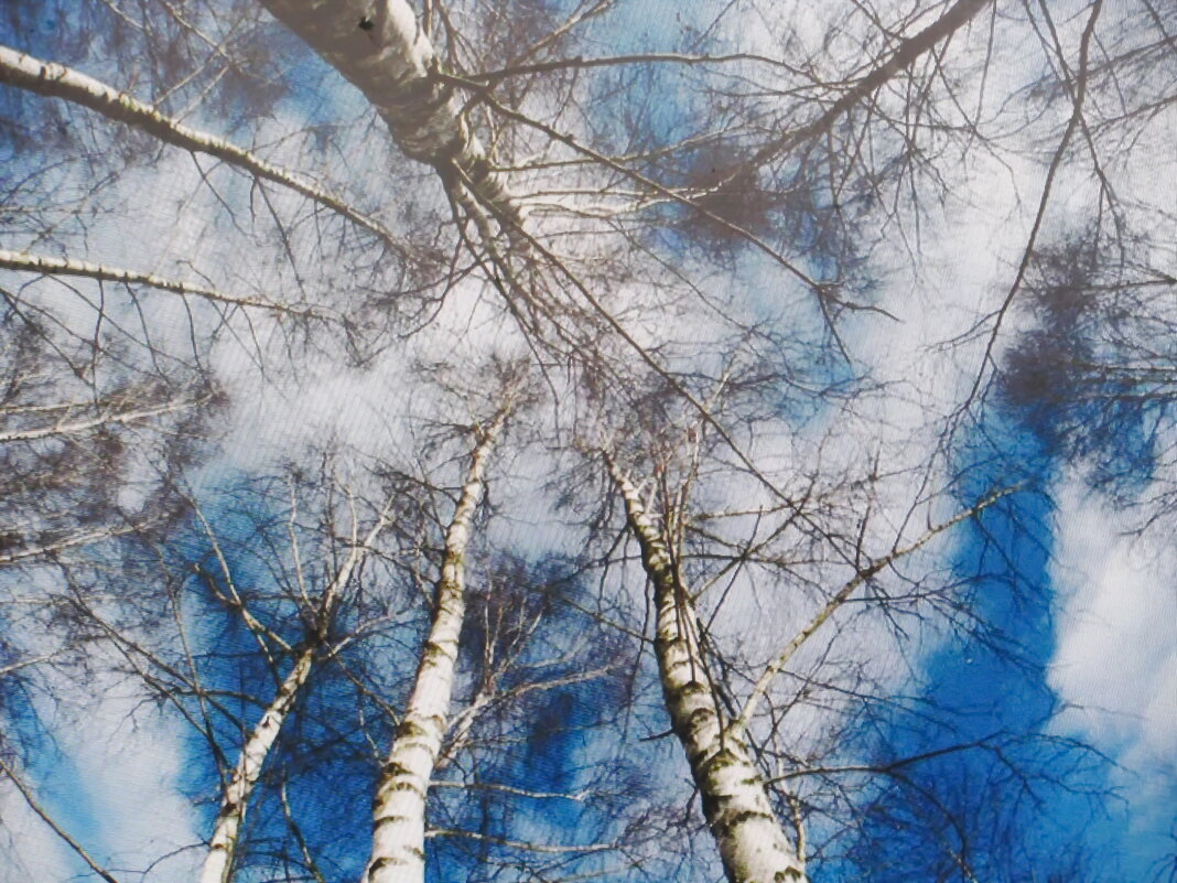 Уходящие в высь - Людмила Смородинская Уходящие в высь - Людмила Смородинская