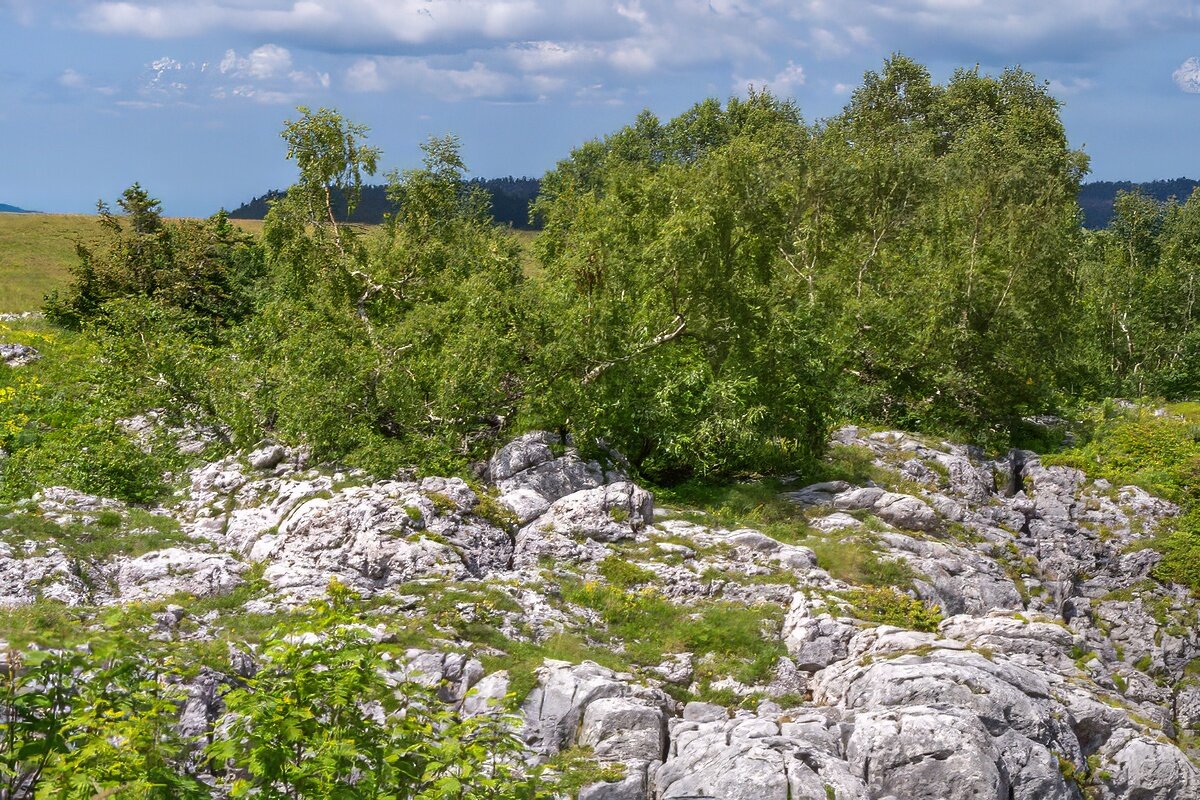 Лаго Наки Июль 2023 - Игорь Сикорский Лаго Наки Июль 2023 - Игорь Сикорский