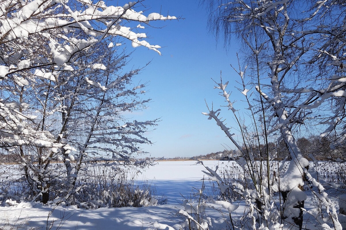 В окрестностях Калининграда - Рита Симонова