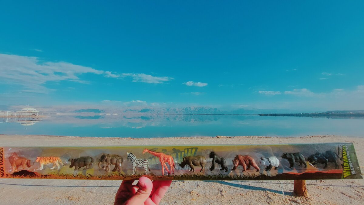 12  КЛОС (680) - CLOSE WAYS ALL