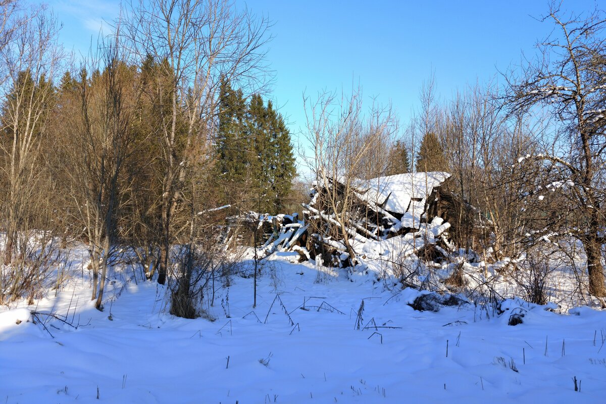 Разрушенный дом в д.Белошкино - Артем 