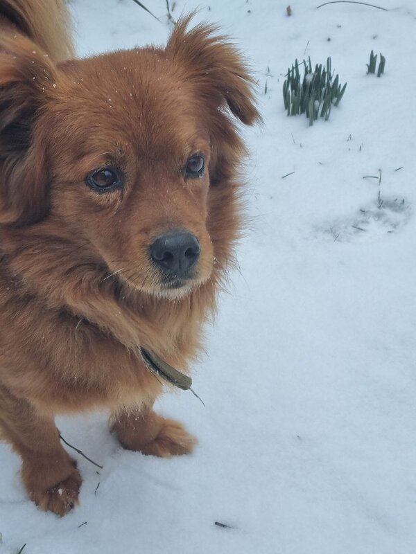 Задумался... - Наталья 