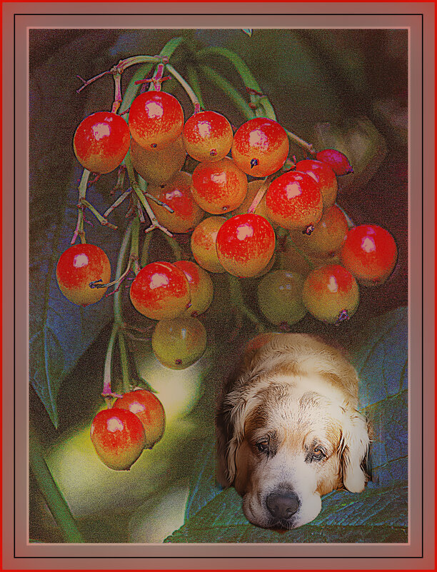 С наступающим праздником 8 Марта! - Владимир Кроливец С наступающим праздником 8 Марта! - Владимир Кроливец