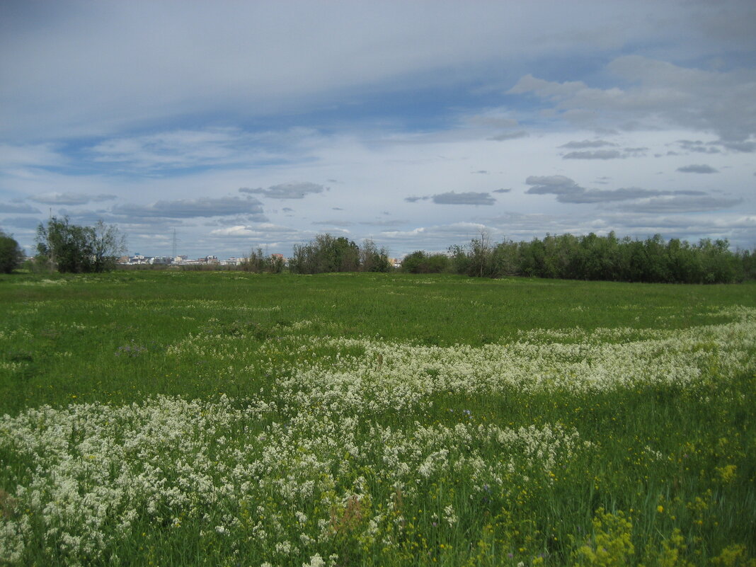 Лето - Anna Ivanova