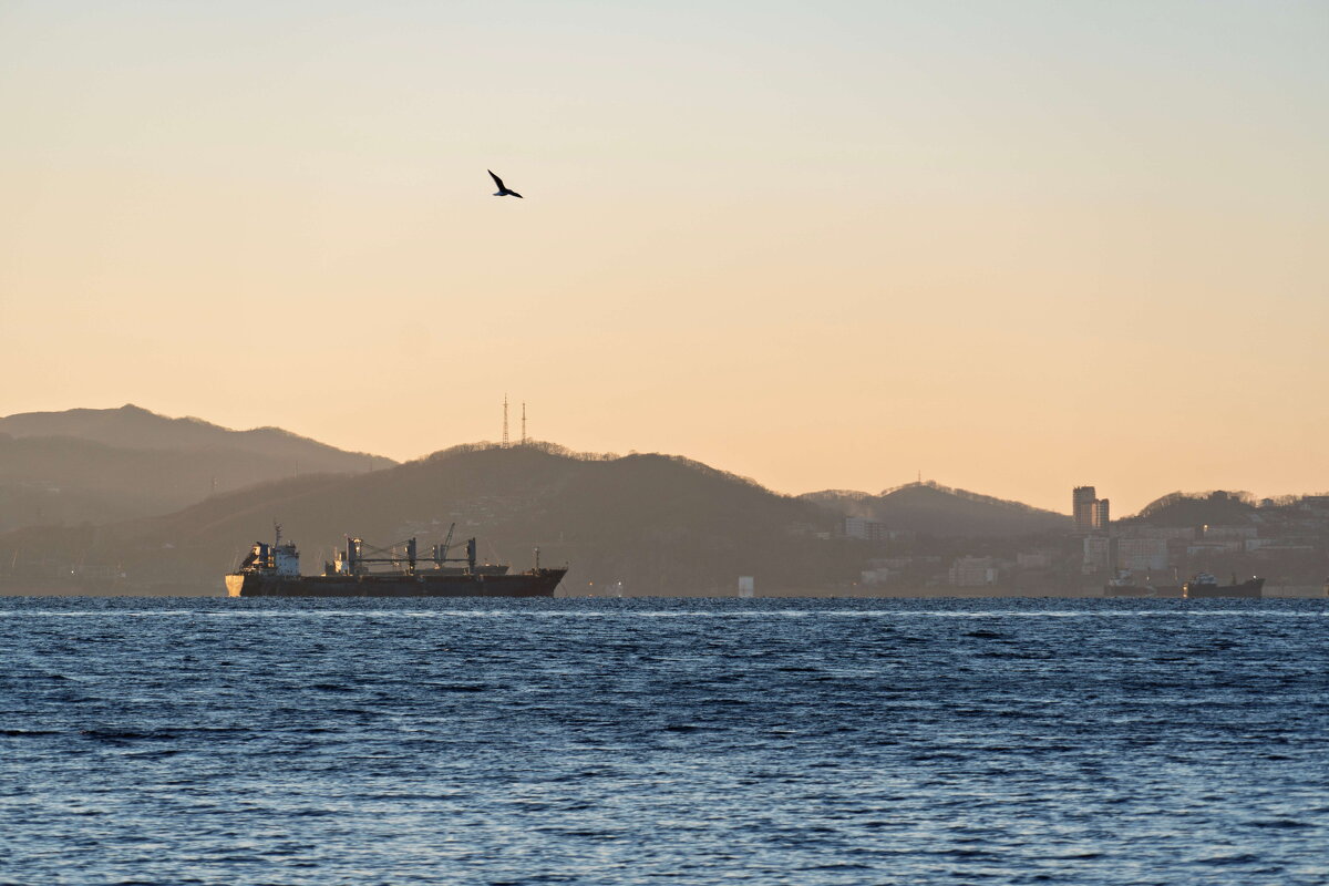 *** - Alexandr Khizhniak